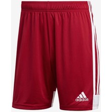Adidas Tastigo 19 ADDP3681 Erkek Futbol Şortu