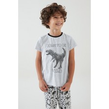 Penti Çok Renkli Erkek Çocuk Wilds 4lü Pijama Takımı
