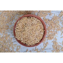 Byagro Kedi Çimi Doğal Tohumlar 250 gr YULAF+250 gr Karakılçık BUĞDAYI+250 gr Arpa+ 250 gr Siyez Buğdayı 1 kg Tohum