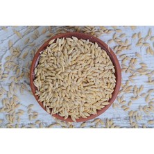 Byagro Kedi Çimi Doğal Tohumlar 250 gr YULAF+250 gr Karakılçık BUĞDAYI+250 gr Arpa+ 250 gr Siyez Buğdayı 1 kg Tohum