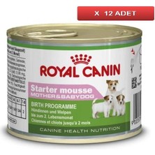 Royal Canin Starter Mother& Babydog Köpek Konservesi 195 gr 12'li