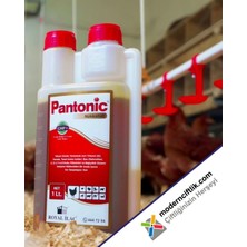 Modern Pantonic Multivitamin 1 Litre