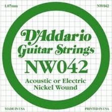 D'Addario Daddarıo NW042