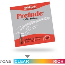 D'Addario Daddarıo J1010