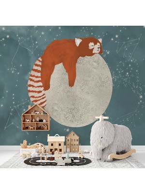 Duvar Kağıdı Marketi Ay'ın Üstünde Yatan Rakun Desenli 3D Duvar Kağıdı