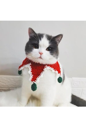 Kedi Giyim Urunleri Ve Cesitleri Burada Hepsiburada
