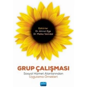 Grup Çalışması - Ahmet Ege