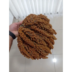 Kuşlar Için Tilki Kuyruğu Kızıl Dal Darı (1 Kg)