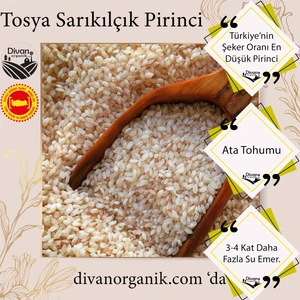 Divan Organik Pirinç Sarıkılçık 1 kg