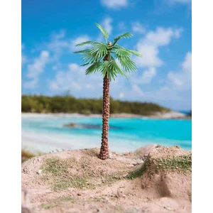 Washingtonia Palmiye 5,5 cm 3 Adet
