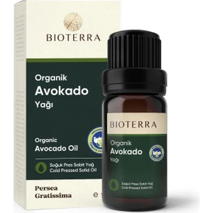 Avokado Yağı 10  ml