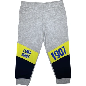 Fenerbahçe Çocuk Eşofman Alt - FB1444
