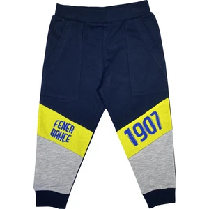 Fenerbahçe Çocuk Eşofman Alt - FB1445