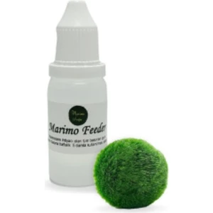 Marimo Scape Şans Getiren Marimo (2-3cm) + Marimo Feeder
