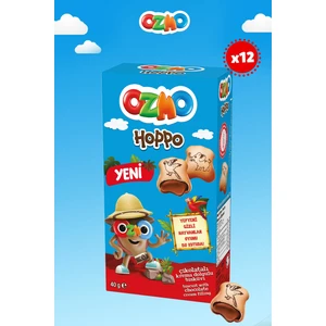 Hoppo 40 gr x 12 Adet