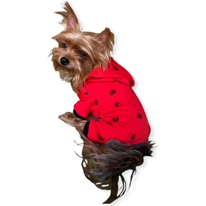 Darky Hearts Kırmızı Kapşonlu Penye Köpek Tulumu