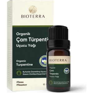 Çam Türpentin Uçucu Yağı 5 ml (Terebentin Yağı)