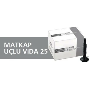 Alçıpan Vidası 3,5x25 Matkap Uçlu 1000 Adet MV25 Dalsan