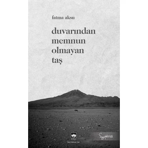 Duvarından Memnun Olmayan Taş - Fatma Aksu