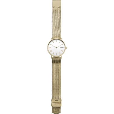 Skagen skw2713 2025