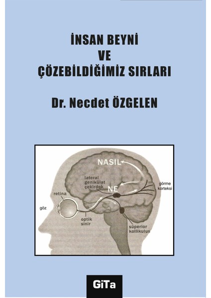 İnsan Beyni ve Çözebildiğimiz Sırları - Necdet Özgelen