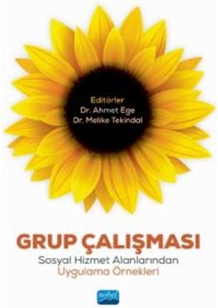 Grup Çalışması - Ahmet Ege