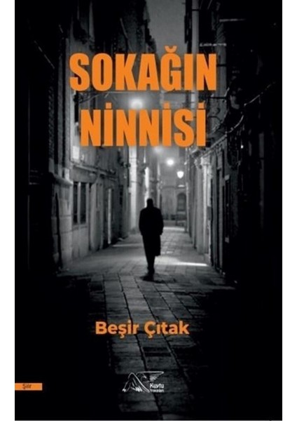 Sokağın Ninnisi - Beşir Çıtak