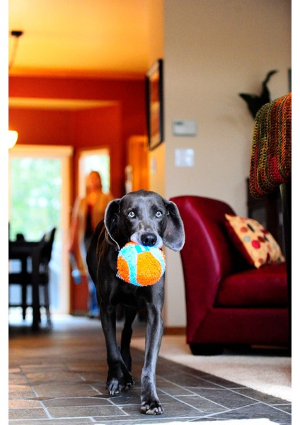 ! Indoor Ball Eve Özel Yumuşak Oyun Topu modelleri