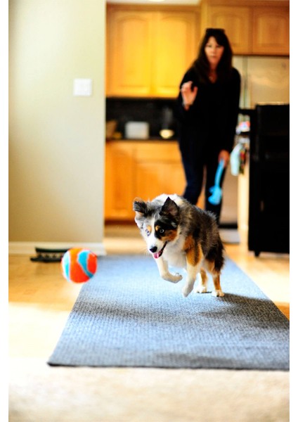 ! Indoor Ball Eve Özel Yumuşak Oyun Topu fırsatları