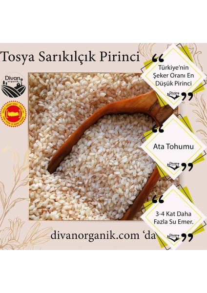 Pirinç Sarıkılçık 1 kg