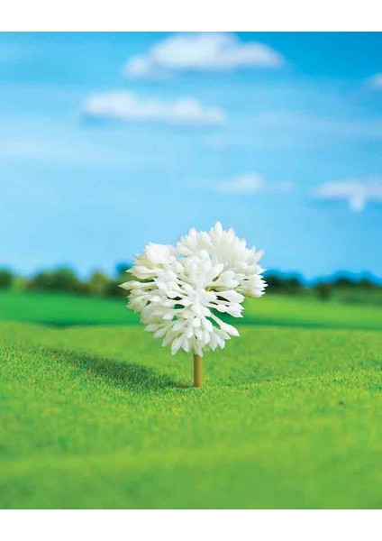 Gül Çalı 4,5 cm 2 Adet