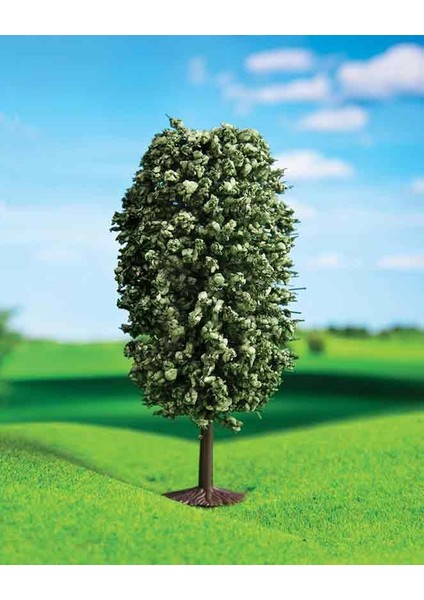 Yeşil Dağ Çamı 6,5 cm 3 Adet