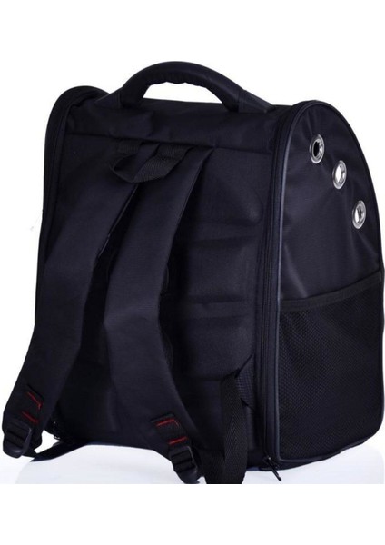 Kedi Taşıma Sırt Çantası Astronot Çanta modelleri