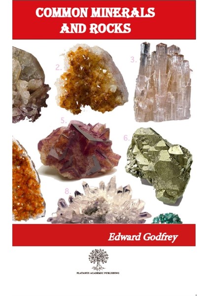 Common Minerals And Rocks - William O. Crosby