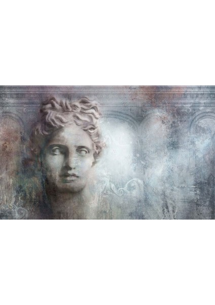 David Michelangelo Eskitmeli 3D Duvar Kağıdı