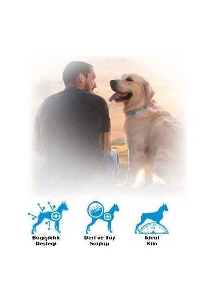 Adult Dog Tavuklu Balıklı Köpek Maması 4 kg