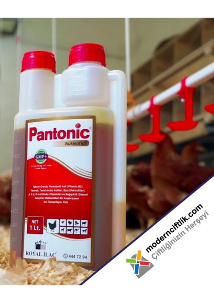 Pantonic Multivitamin 1 Litre