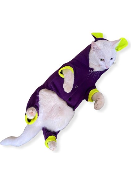 Bunny Pom Kulaklı Kedi Tulumu,kıyafeti modelleri