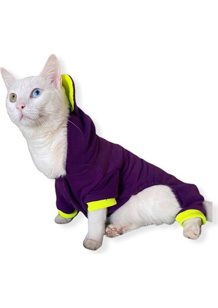 Bunny Pom Kulaklı Kedi Tulumu,kıyafeti fırsatları