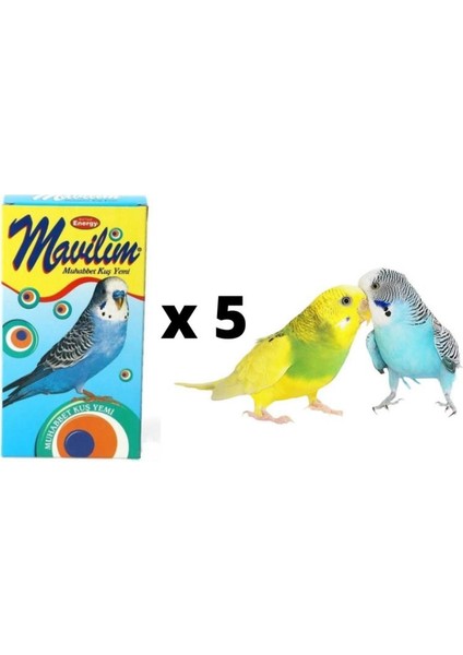 Bird Food Energy Mavilim® Muhabbet Kuş Yemi Paketi 5'li