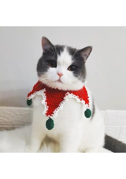 Christmas Noel Süsü , Kedi Tasması & Boyun Aksesuarı, Pet Fashion, Tasarım Ürün Fenomen Kedi