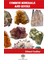 Common Minerals And Rocks - William O. Crosby 1