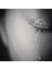 Tears Of Love 3