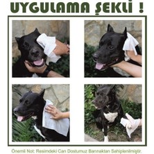 Cleapet Evcil Hayvan Temizleme Için Antibakteriyel Nano Havlu