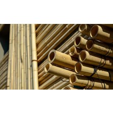 Bahçem Kalın Bambu Direkleri/gövdeleri 7-8 cm 3 M