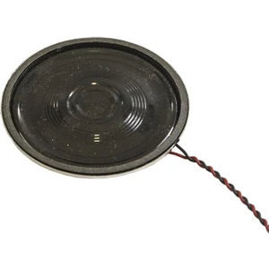 Hoparlör 8ohm 1W 45MM