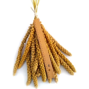 Dal Darı Net Beyaz Dal Darı 500 gr Organik
