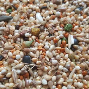 Dal Darı Net Sultan Cennet ve Sevda Papağanı Yemi 500 gr