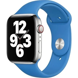 Apple Watch Series SE/10/9/8/7/6/5/4/3 Uyumlu 42mm-41mm-40mm-38mm M/L Silikon Kordon Açık Mavi