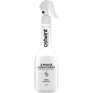 Fön Suyu 2 Aşamalı Saç Bakım Spreyi Süt Proteinleri İçeren 400 ml Tüm Saç Tipleri İçin